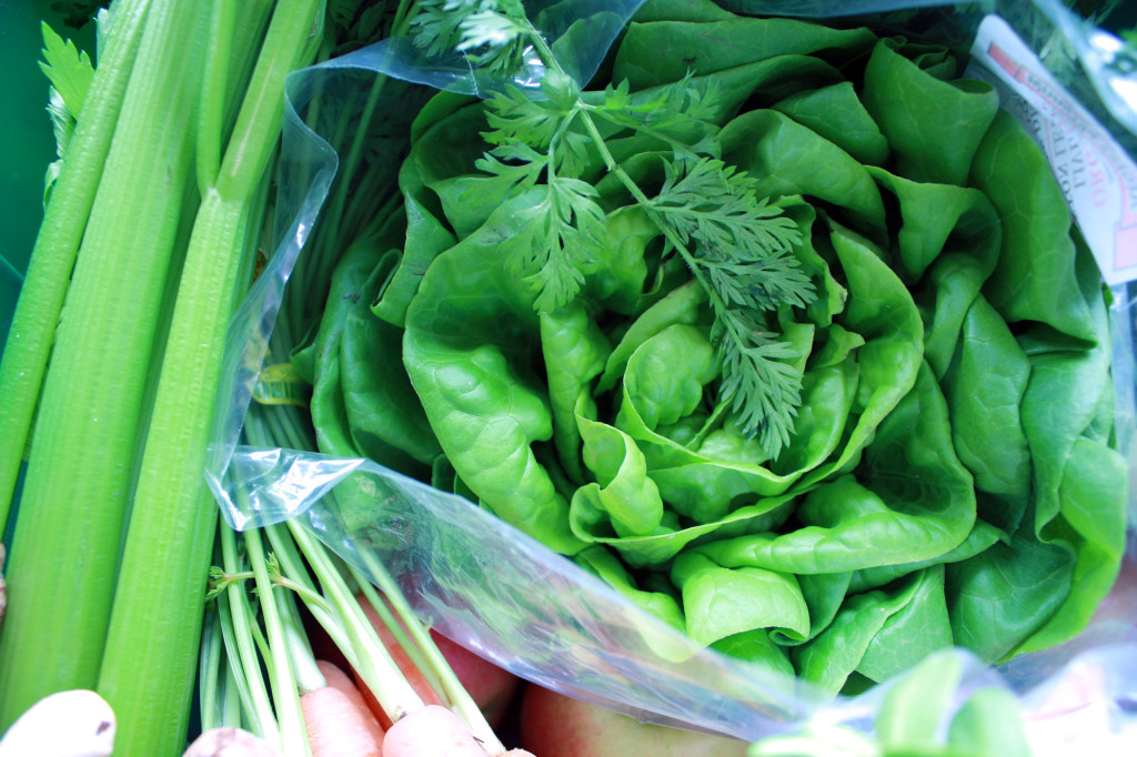 More vegetables from my CSA box: a beautiful head of green lettuce, a bunch of celery, and some carrot greens